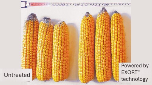 tecnologia agricultura.jpg